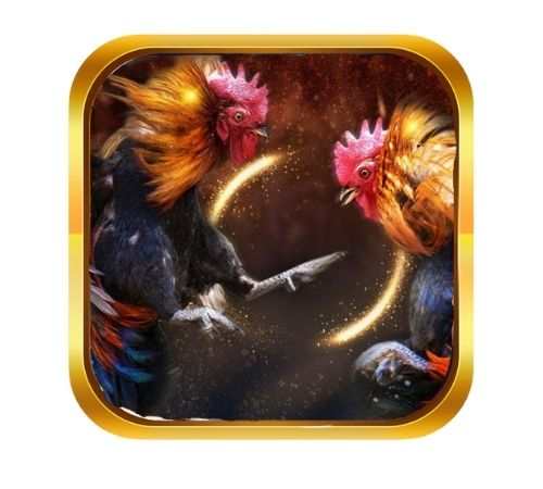 Vì sao nên tải app dagatructiepthomo?