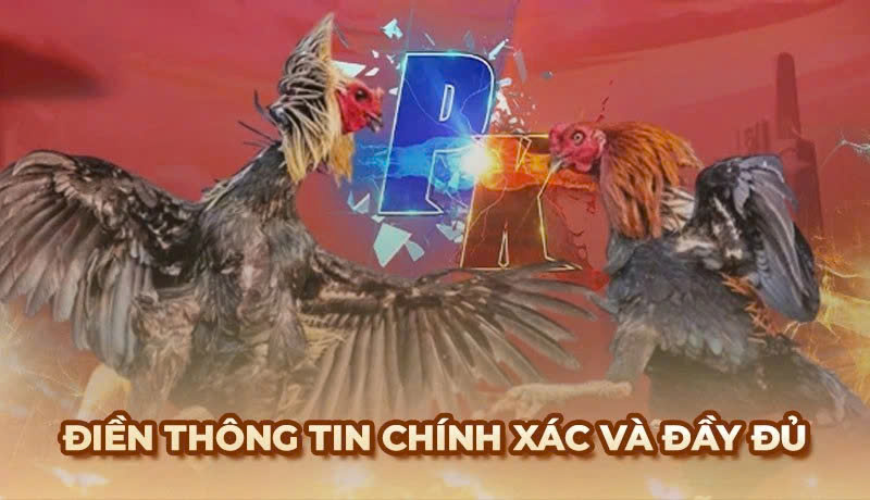Đăng ký tài khoản đá 